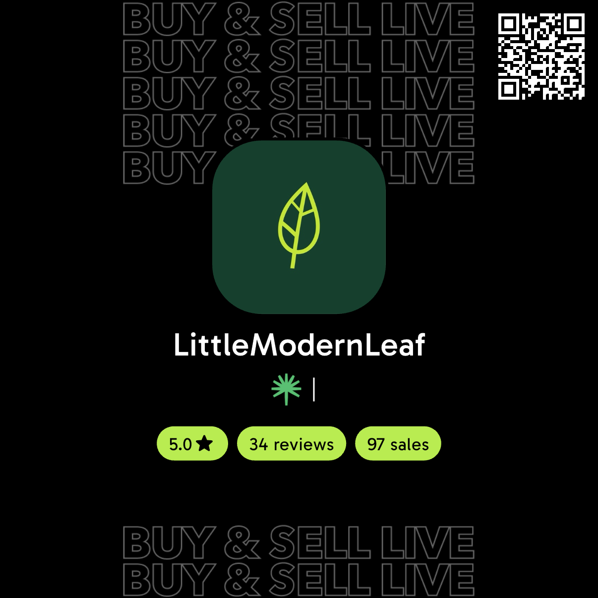 Little Modern Leaf’s Palmstreet shop profile and QR code